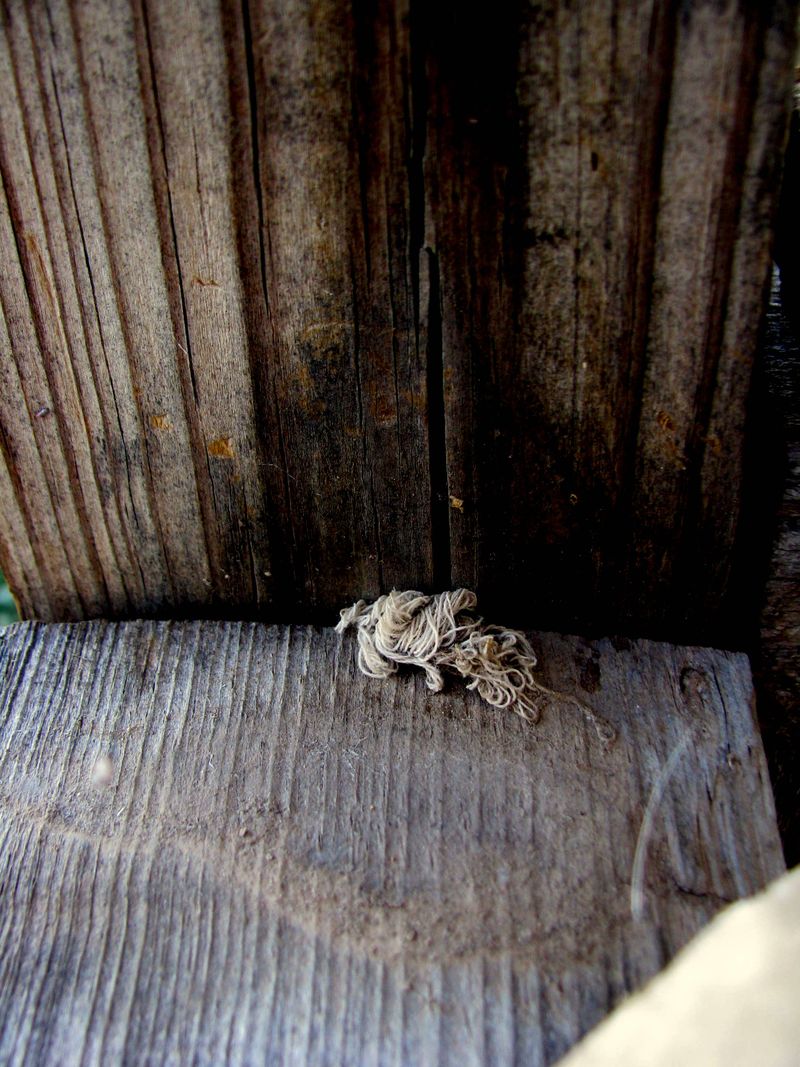 IMG_4530f IMG_4530f