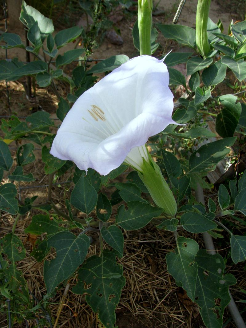 IMG_4513f IMG_4513f