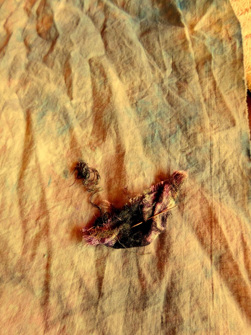 DSCN0128fff