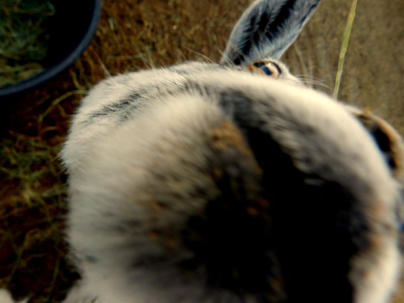 DSCN0682f