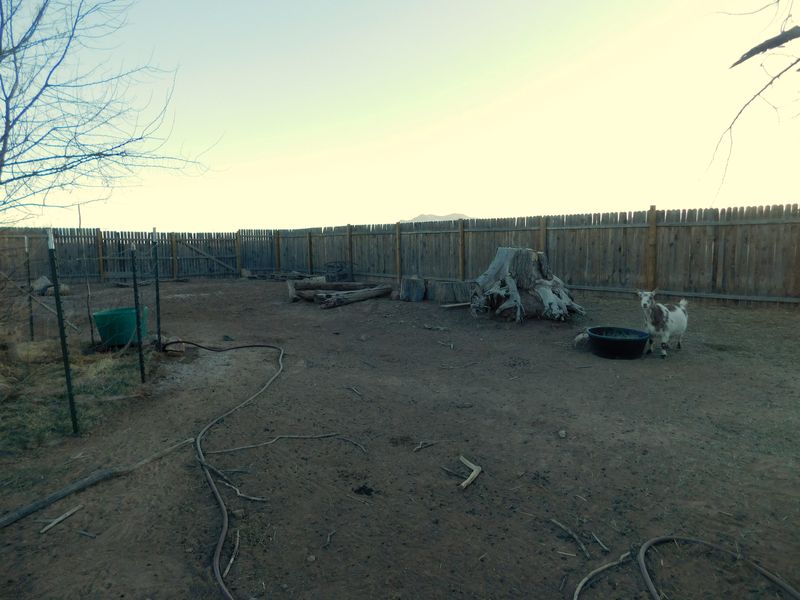 DSCN0948f