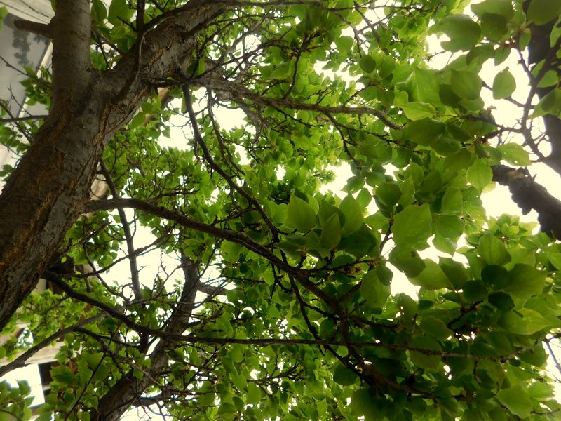 DSCN1528f