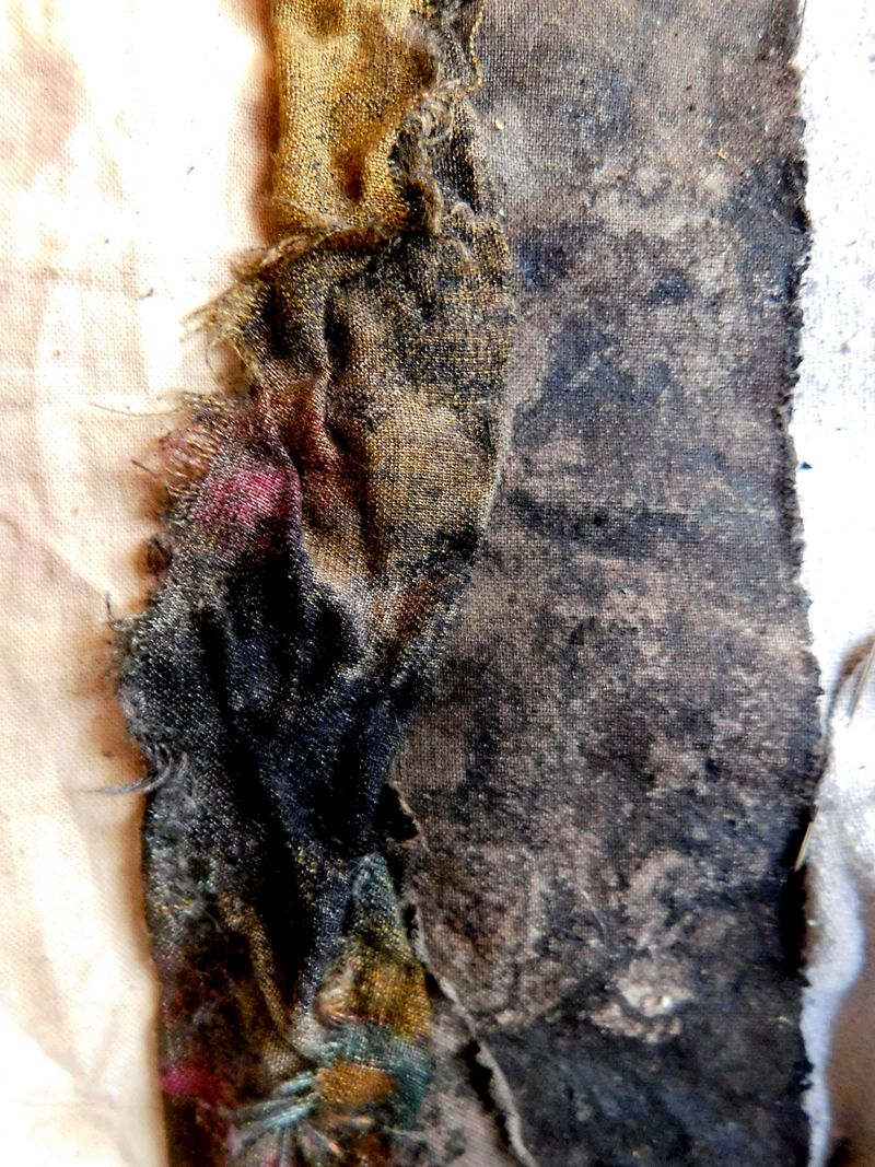DSCN1520f