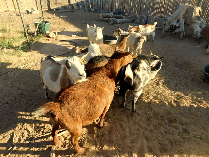 DSCN1491f DSCN1491f