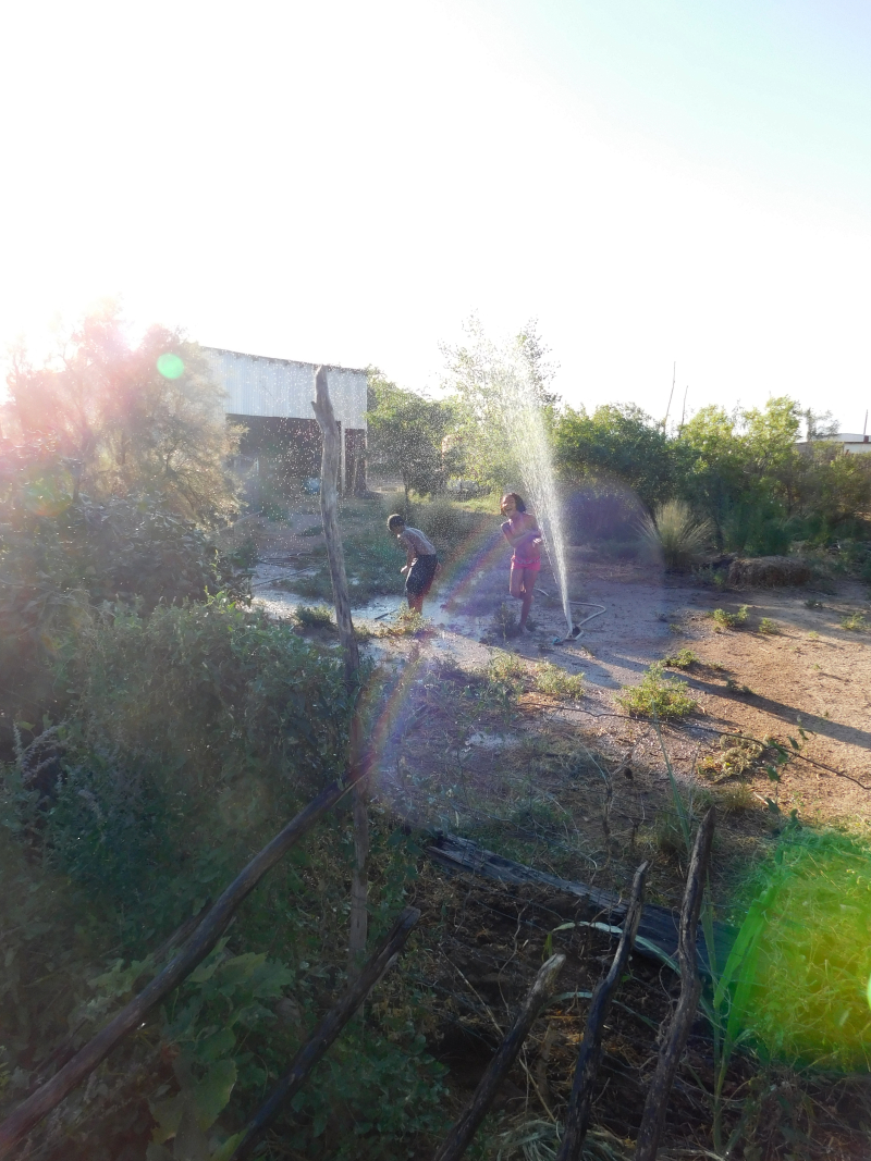 DSCN2571f