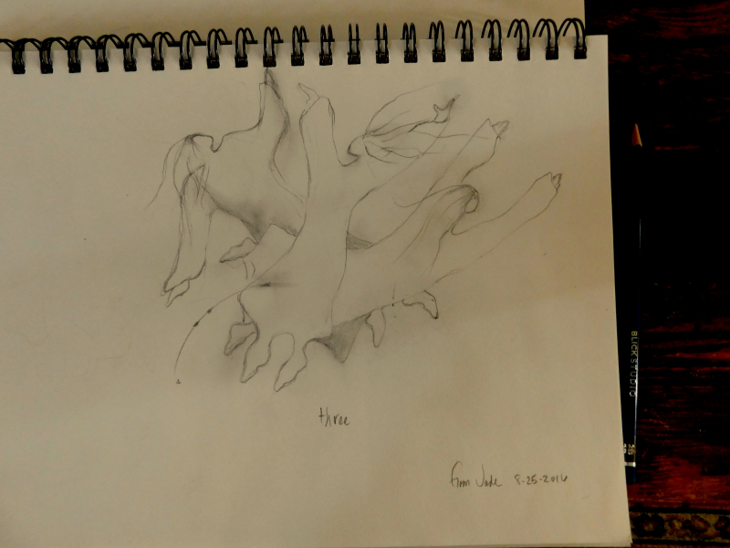 DSCN2790ff