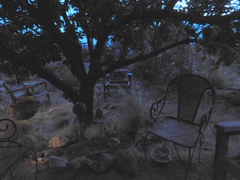 DSCN2653f