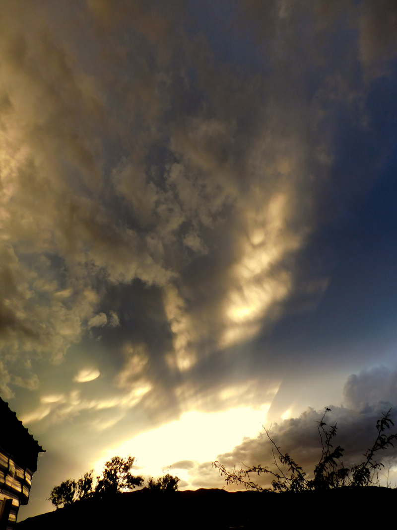 DSCN5941f