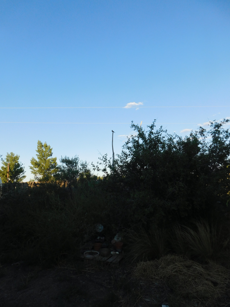 DSCN5895g
