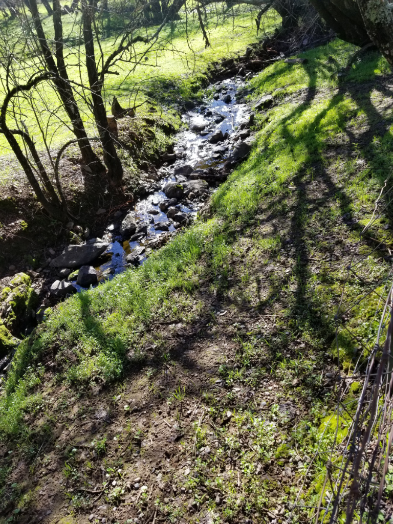 20180205_113341