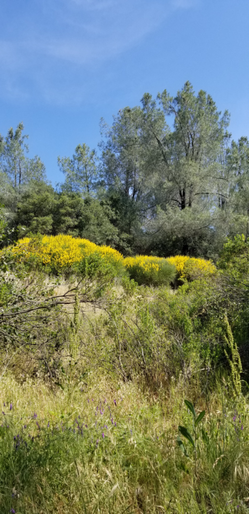 20180519_103650.jpg 20180519_103650.jpg