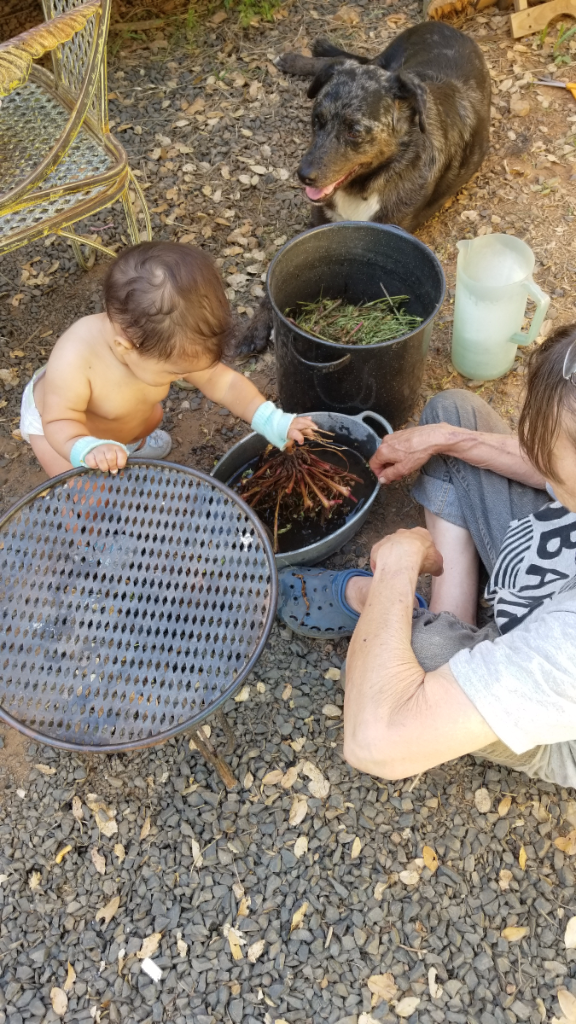 20180508_161628.jpg 20180508_161628.jpg