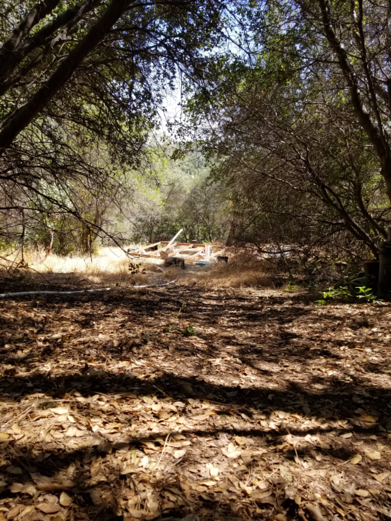 20180624_151546 20180624_151546