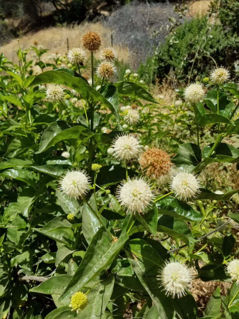 20180705_130414 20180705_130414
