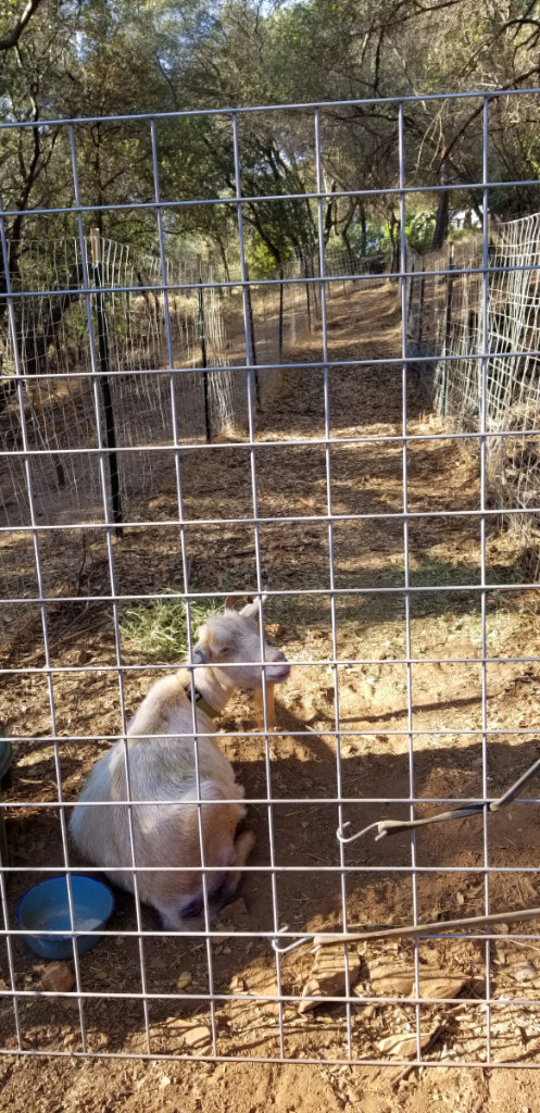 20180828_174317 20180828_174317