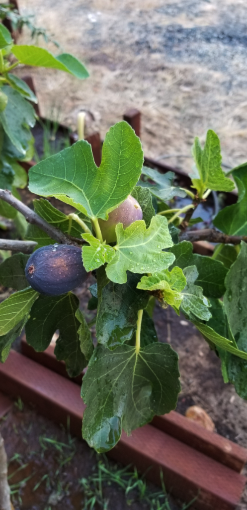 20180828_185228 20180828_185228