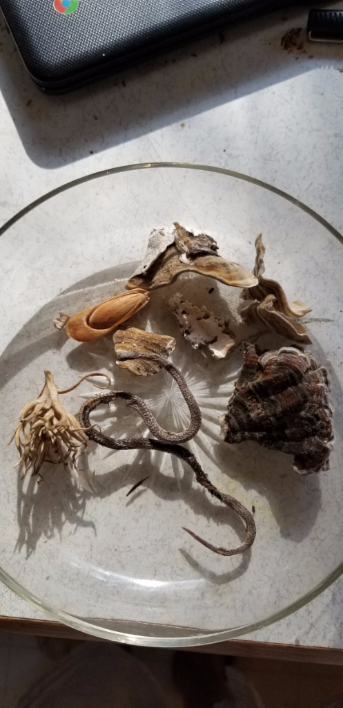 20180816_091912 20180816_091912