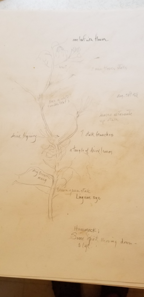 20180810_180753 20180810_180753