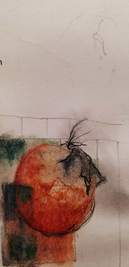 20180922_170019 20180922_170019