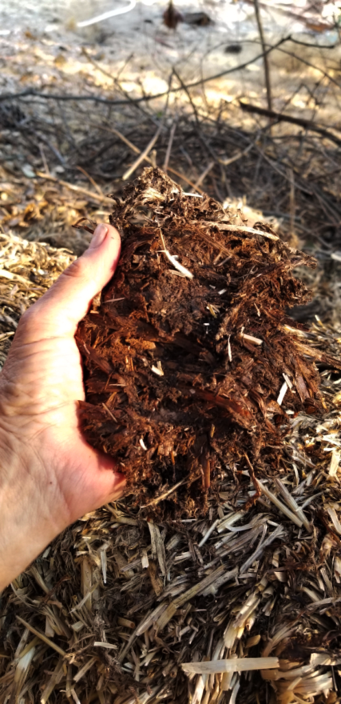 20180907_175047 20180907_175047