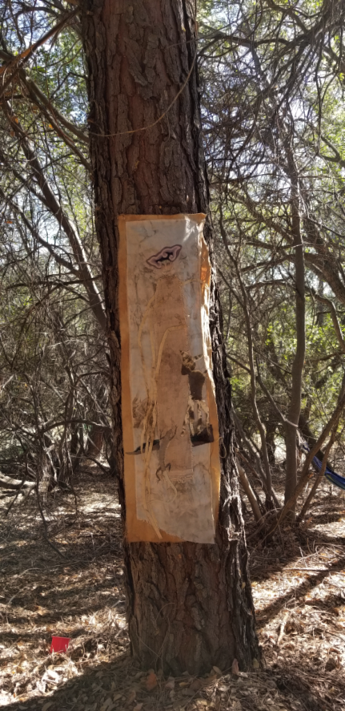 20180906_162522 20180906_162522