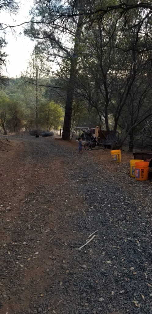 20181026_174049 20181026_174049