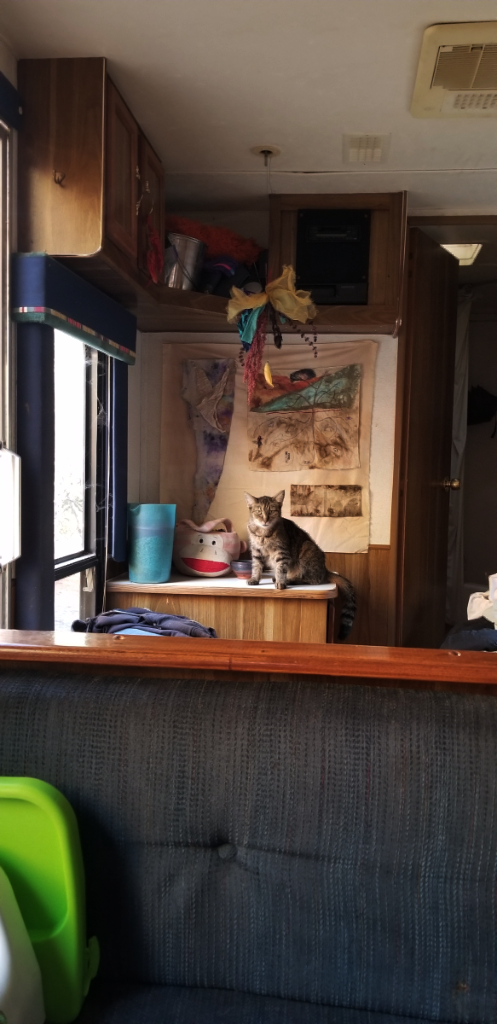 20181019_173742 20181019_173742