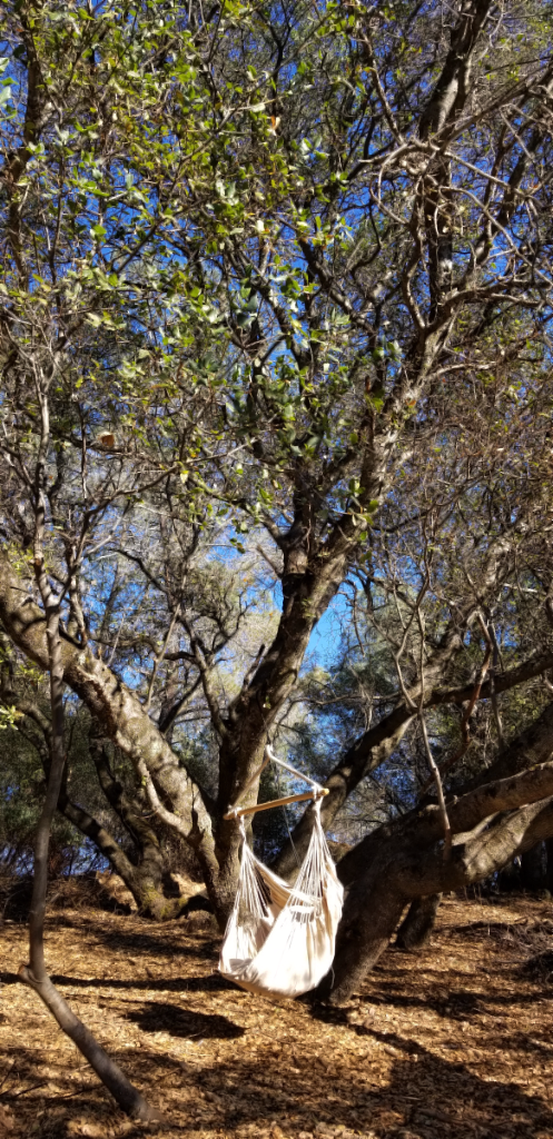 20181008_164515 20181008_164515