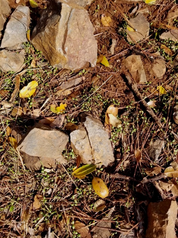20181130_135311 20181130_135311