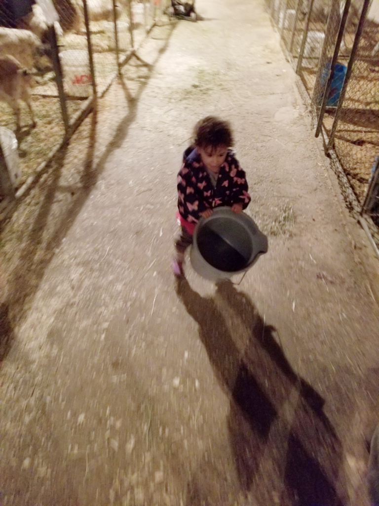 20181112_172812
