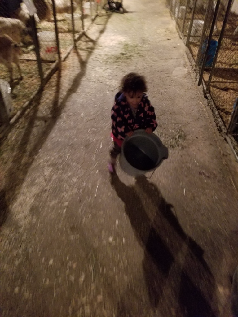 20181112_172812