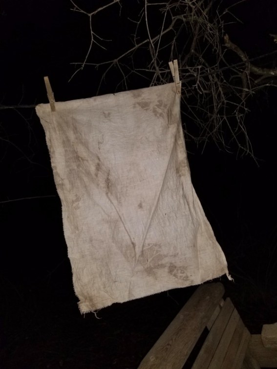 20181226_174609 20181226_174609