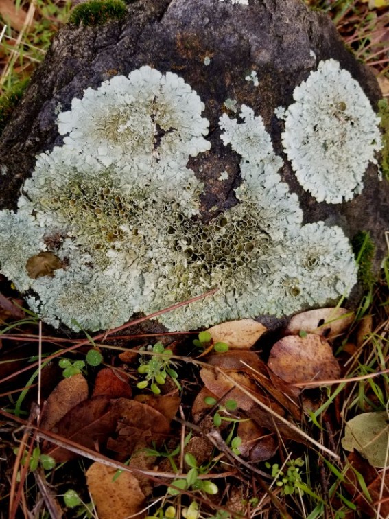 20190107_103634