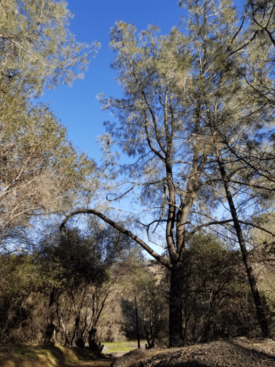20190222_160424 20190222_160424
