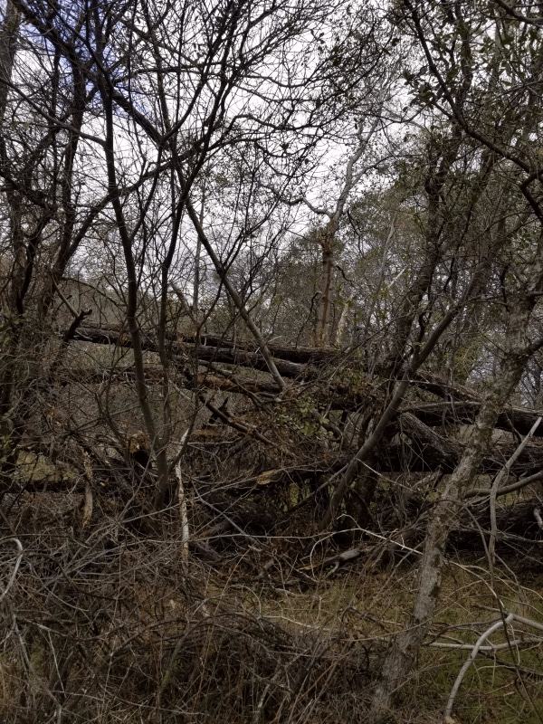 20190216_113336 20190216_113336