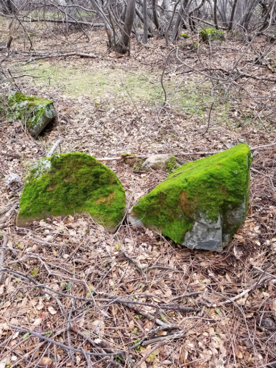 20190216_113103 20190216_113103