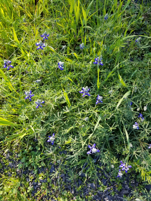 20190330_165222