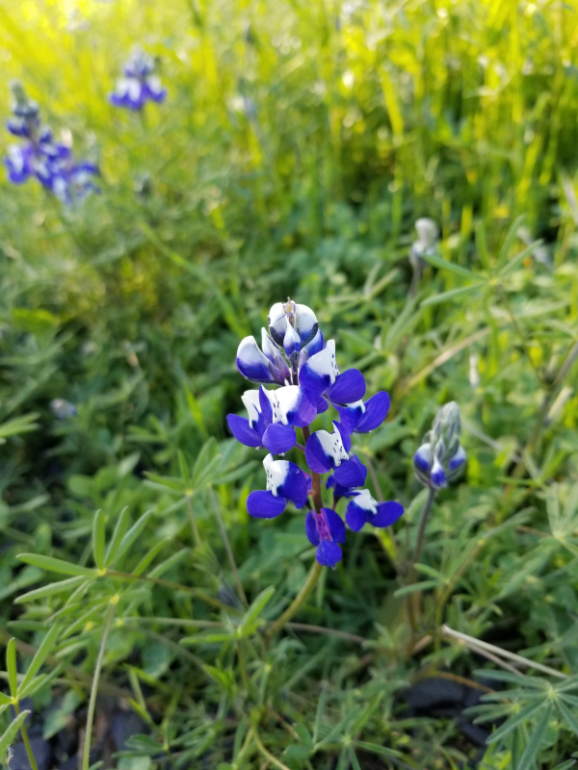 20190330_165453