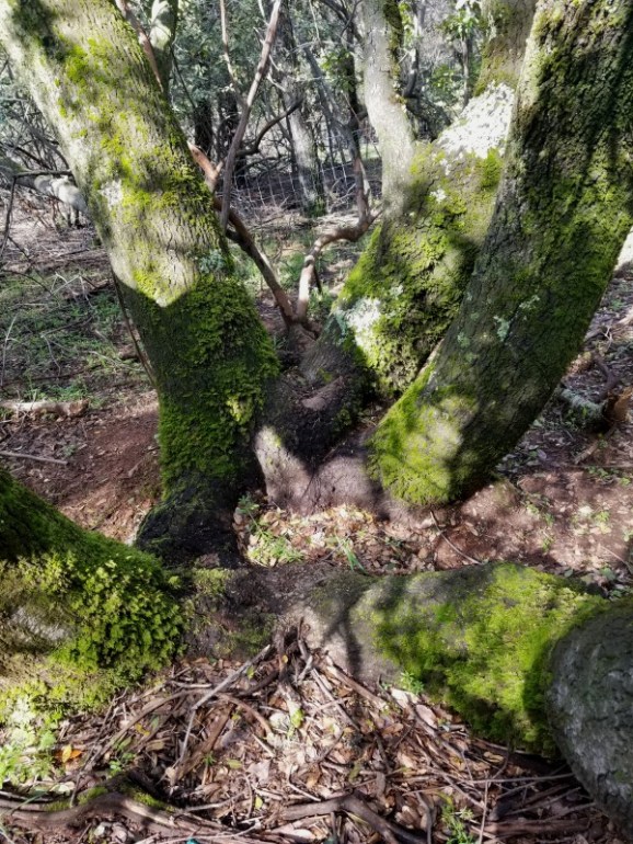 20190324_105842