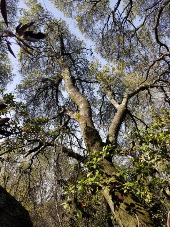 20190324_105851