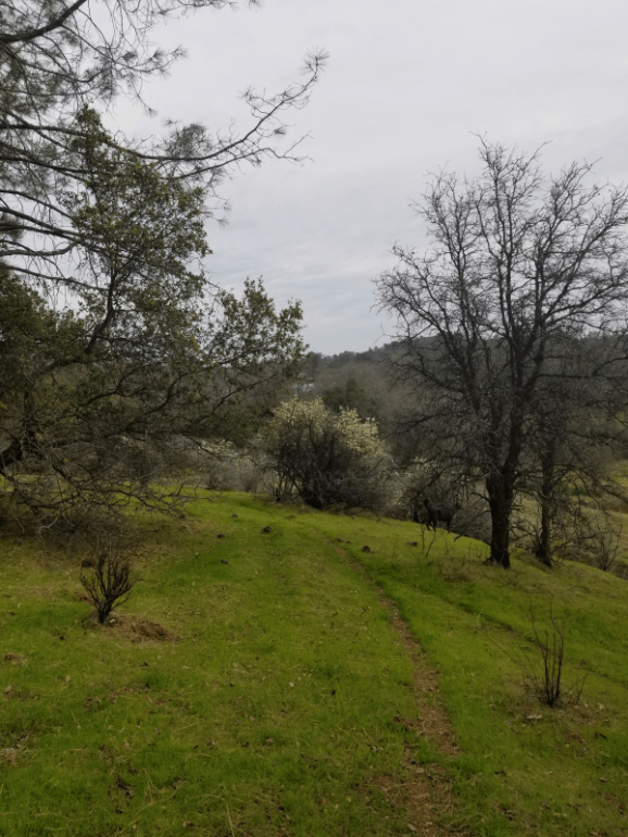 20190319_171029