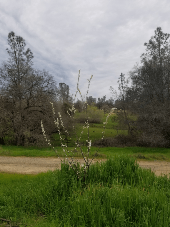 20190319_171856 20190319_171856