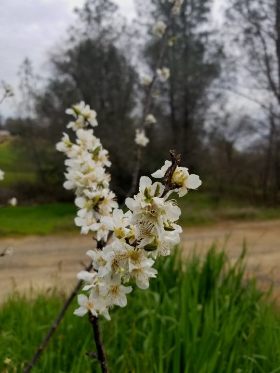 20190319_171913 20190319_171913