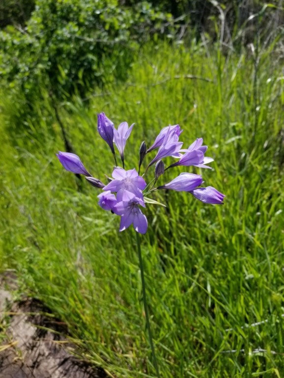 20190421_125753 20190421_125753