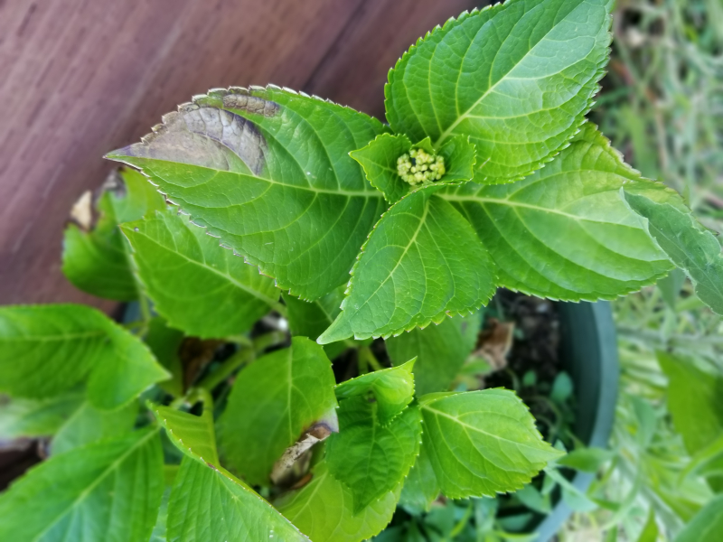 20190529_165611
