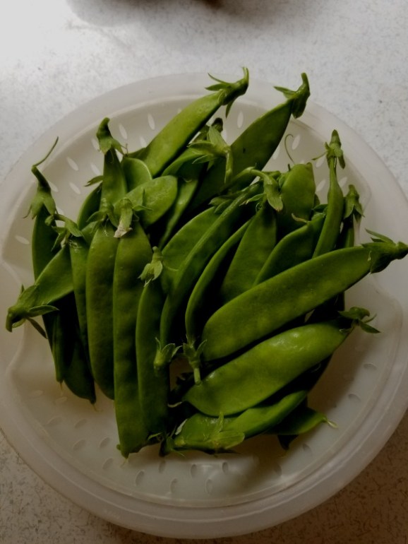 20190518_100320