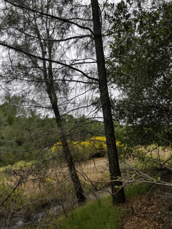 20190514_132443 20190514_132443