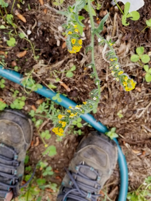 20190514_135947
