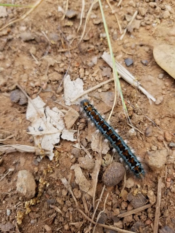 20190506_105140