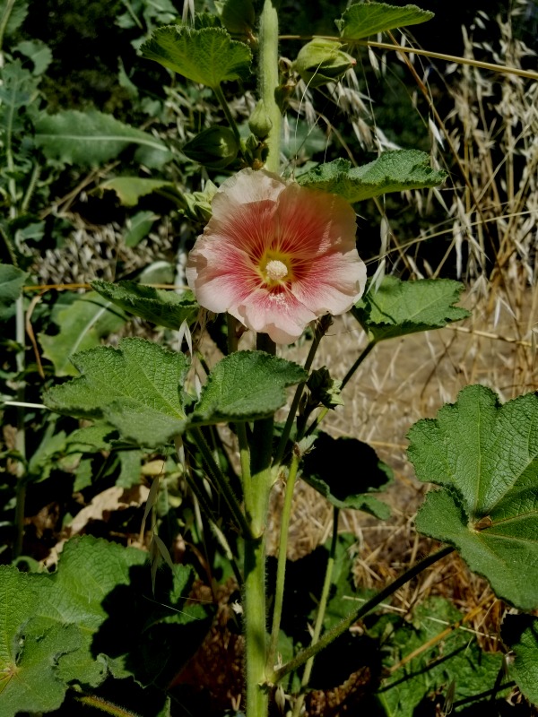 20190629_092340 20190629_092340